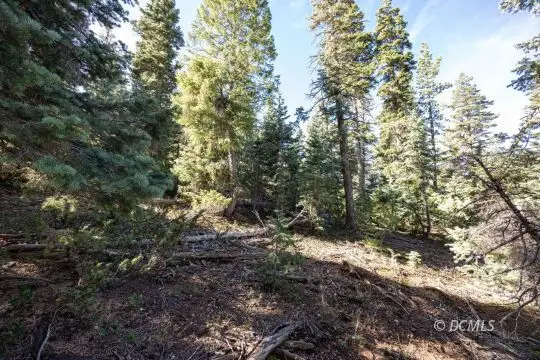 1285 W Twisted Trail, Duck Creek Village, UT 84762 - #3