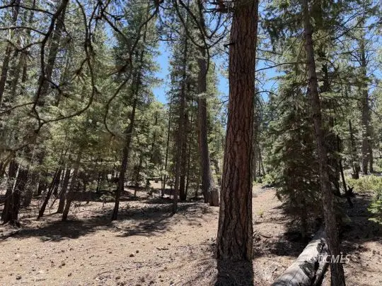 210 E Palmer Ln, Mammoth Creek, UT 84735 - #3
