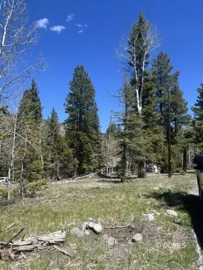 1014 W Chipmunk Rd #1, Panguitch Lake, UT 84759 - #1