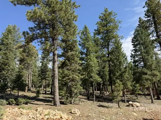 430 E Whispering Pines Dr, Duck Creek Village, UT 84762
