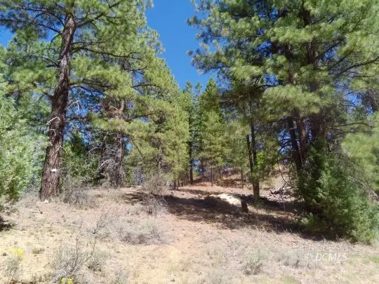 1430 W Elk Ridge Dr, Alton, UT 84710 - #2