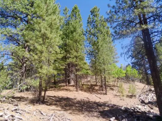 1430 W Elk Ridge Dr, Alton, UT 84710 - #3