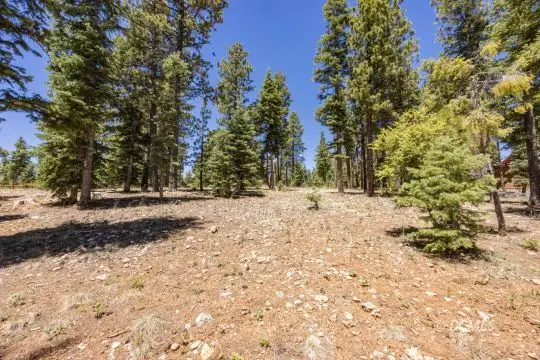 1255 E Ruger Ln, Duck Creek Village, UT 84762 - #1