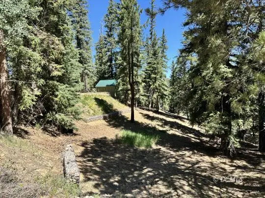 2485 E Foxtree Rd, Duck Creek Village, UT 84762 - #3