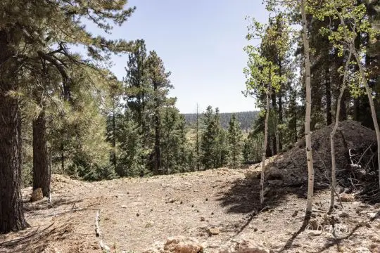 910 E Ridge Dr, Duck Creek Village, UT 84762 - #1