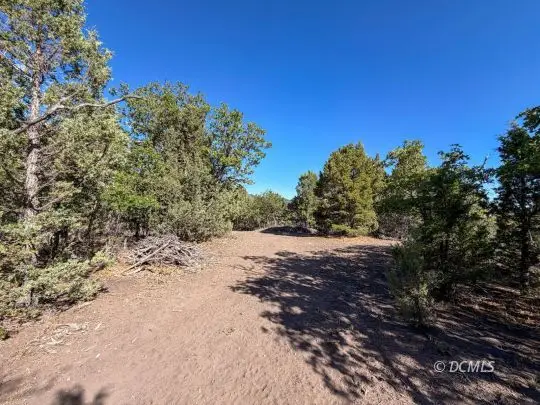1540 W Manitoban Trail, Alton, UT 84710 - #2