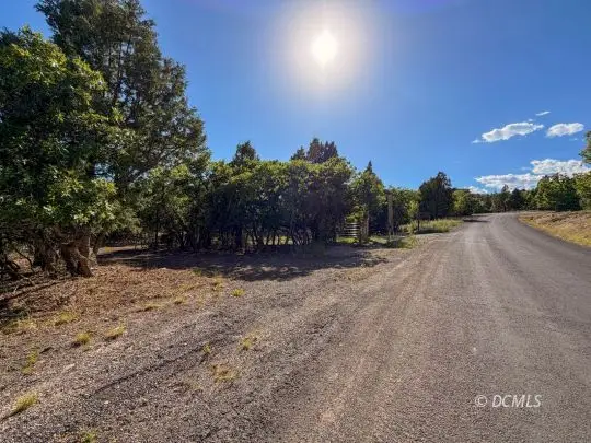1540 W Manitoban Trail, Alton, UT 84710 - #3