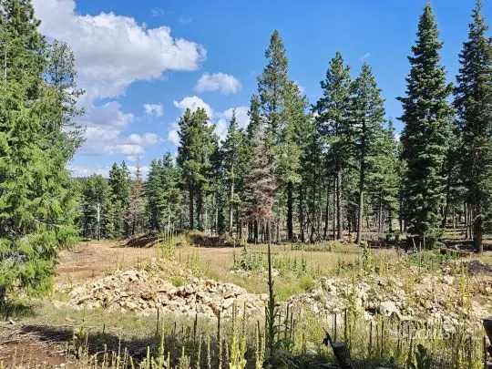 2030 E Big Timber Dr, Duck Creek Village, UT 84762 - #1