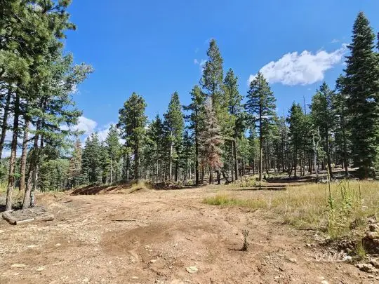 2030 E Big Timber Dr, Duck Creek Village, UT 84762 - #3