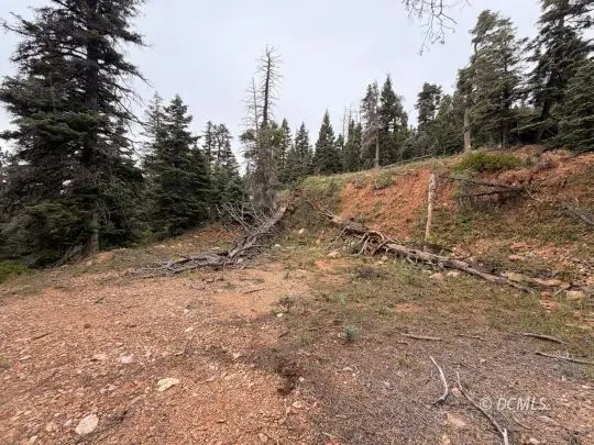 5635 W Mountain Lion Dr, Duck Creek Village, UT 84762