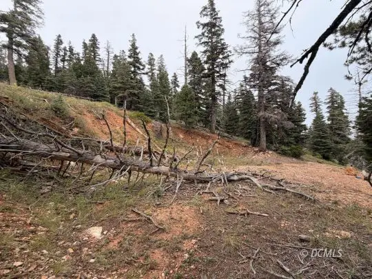 5635 W Mountain Lion Dr, Duck Creek Village, UT 84762 - #2