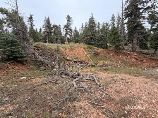 5635 W Mountain Lion Dr, Duck Creek Village, UT 84762 - #3