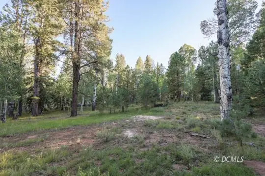 1 Old Tymer Ln, Duck Creek Village, UT 84762