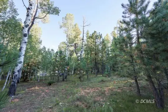 1 Old Tymer Ln, Duck Creek Village, UT 84762 - #2
