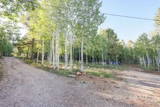 1 Old Tymer Ln, Duck Creek Village, UT 84762 - #3