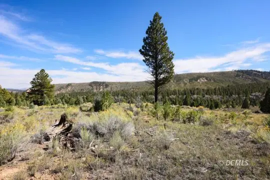 W Doe Rd, Mammoth Creek, UT 84735 - #1