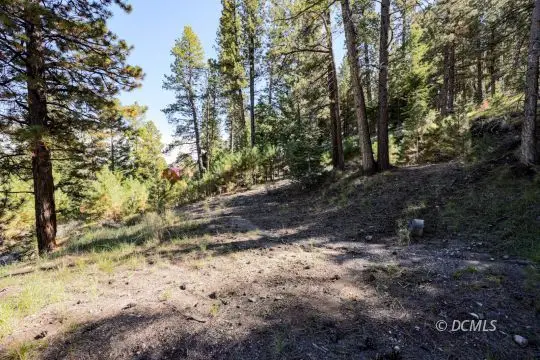 835 S Ridge Point Dr, Panguitch Lake, UT 84759 - #1