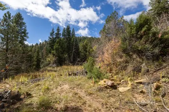 Lot 21 Unit 2 Sky Haven, Duck Creek Village, UT 84762 - #1
