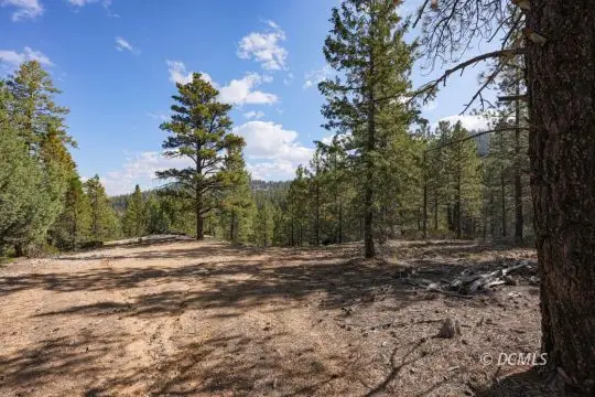 3850 N Roosevelt Ln, Duck Creek Village, UT 84762 - #1
