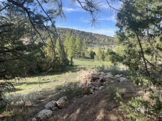 2820 N Dead Horse Lp, Alton, UT 84710 - #3