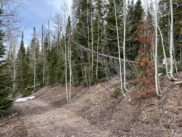 380 N Forest Dr, Brian Head, UT 84719