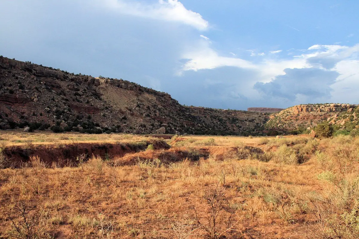 59.39 Acs Dalton Wash Rd, Virgin, UT 84779 - #1