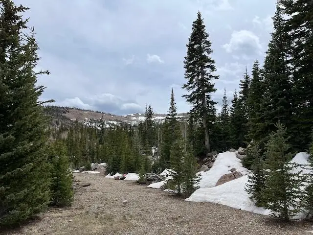 #3
