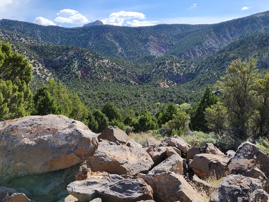 3747 S Old Hwy 91 #Lot 294, New Harmony, UT 84757 - Image #2