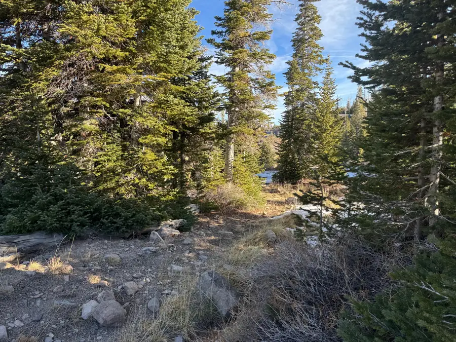Ridge Top Rd. #CBMHS unit B blk A lot 9, Brian Head, UT 84719 - Image #3