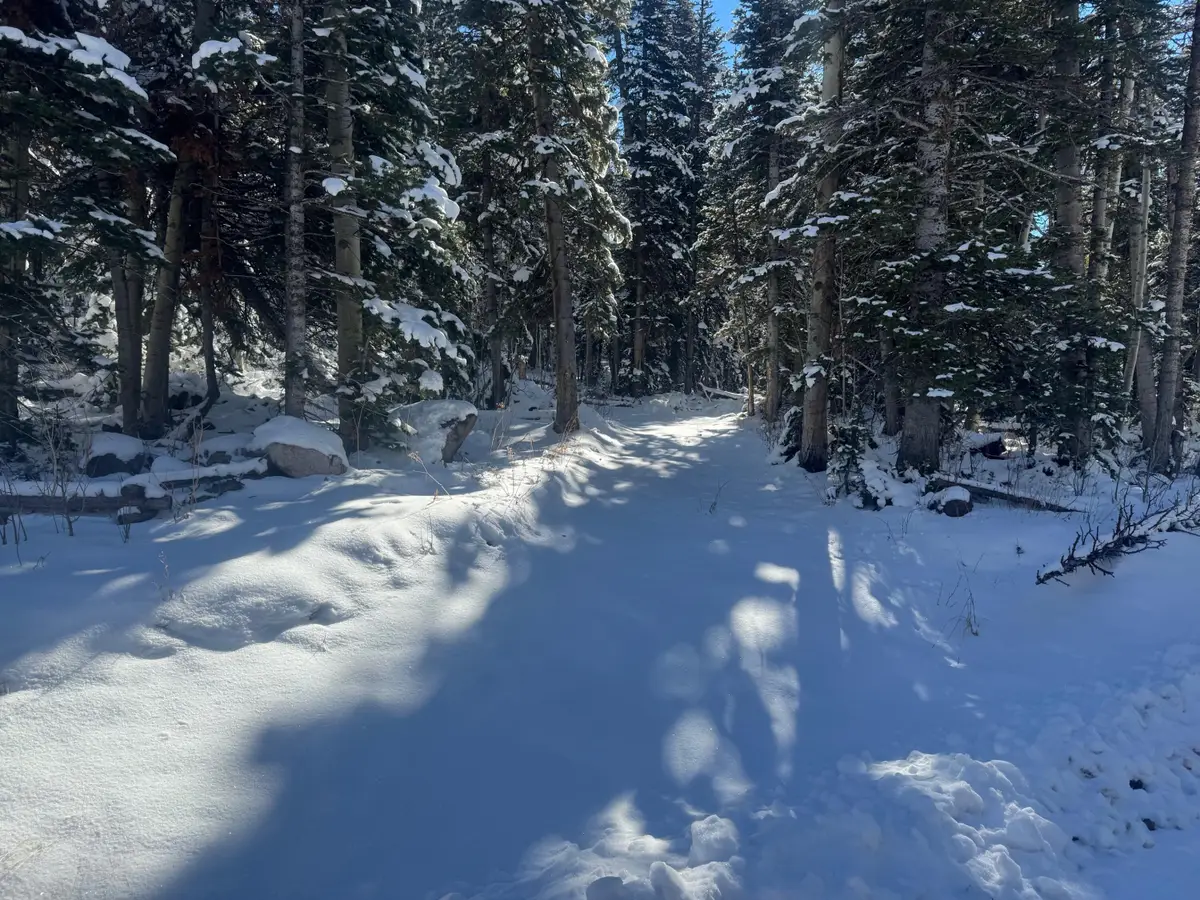 Falcon Ct #CBME unit c lots 68 and  69, Brian Head, UT 84719 - Image #1