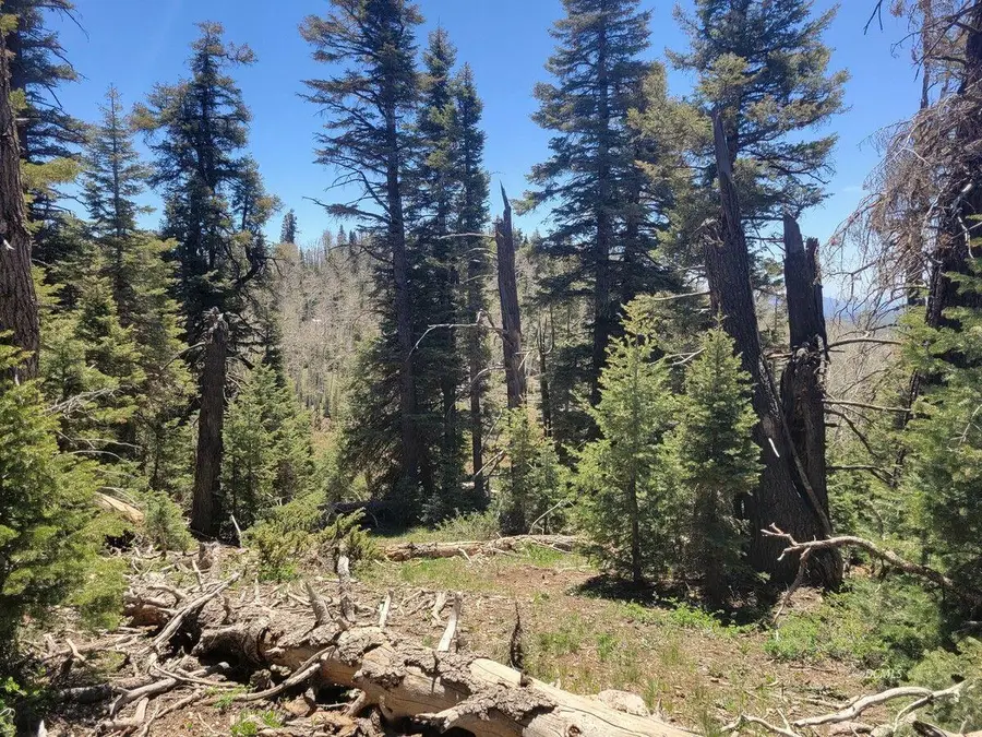 6020 W North Fork Rd, Duck Creek Village, UT 84762 - #2