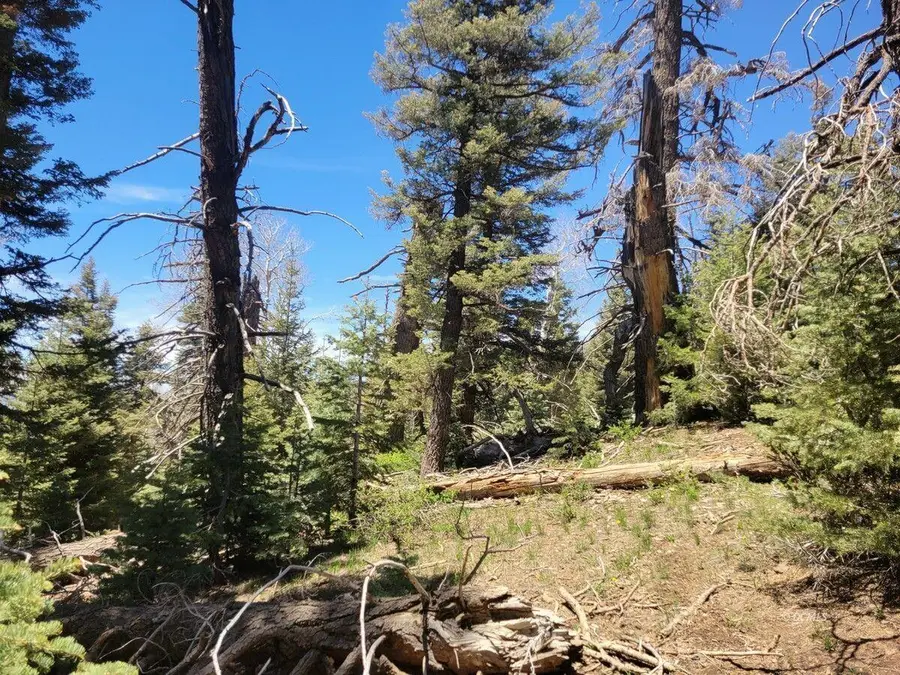 6020 W North Fork Rd, Duck Creek Village, UT 84762 - #3