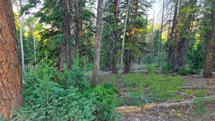Ponderosa Dr #Lot 148, Beaver, UT 84713 - #2