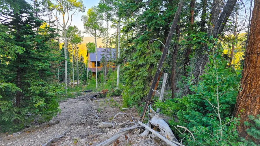 Ponderosa Dr #Lot 148, Beaver, UT 84713 - #3