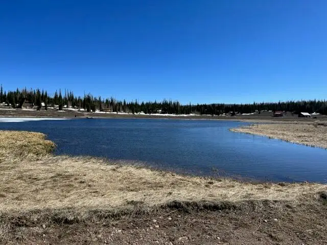 Lot 7 Meadow Lake Estates, Brian Head, UT 84719 - #1