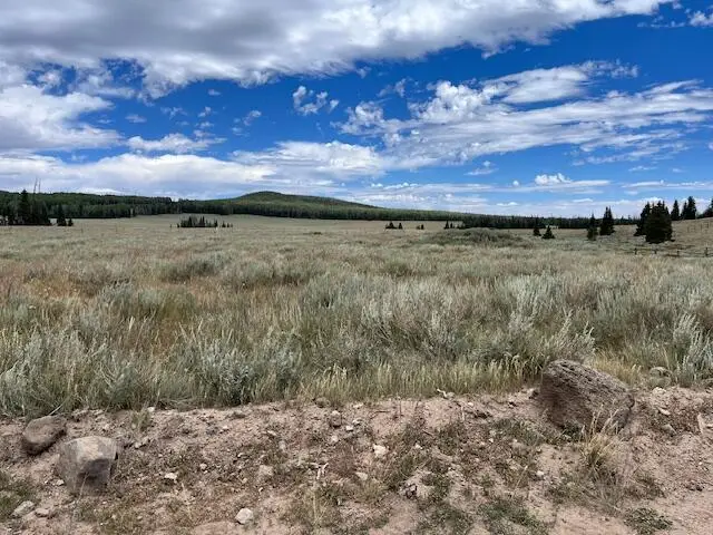 Lot 7 Meadow Lake Estates, Brian Head, UT 84719 - #3