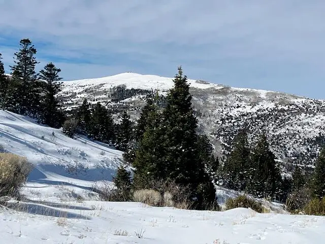 3934 S Summit Mountain Road Rd #Lot 3, Summit, UT 84772 - #1