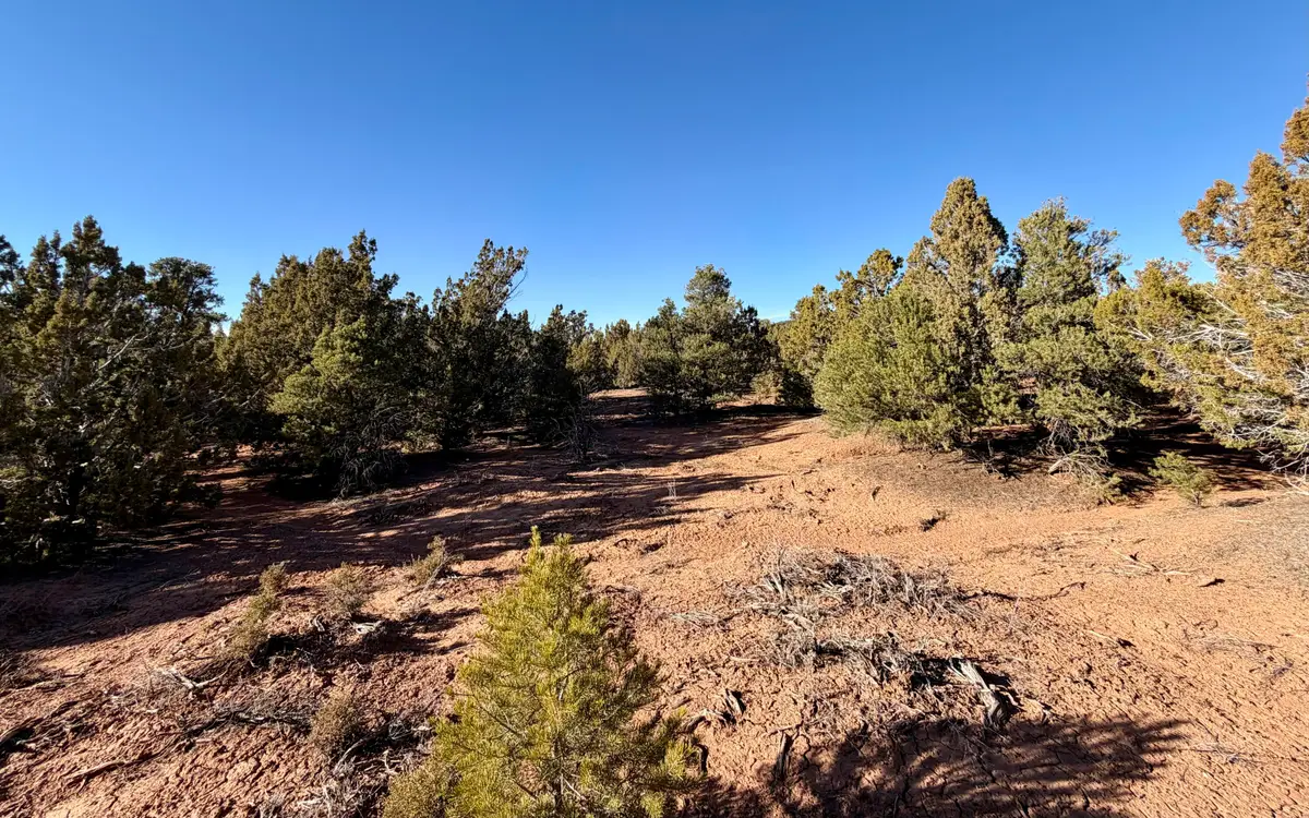 4023 S Artifact Dr, Cedar City, UT 84720 - #1