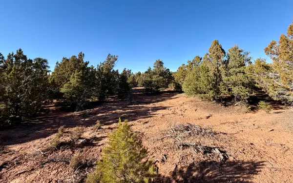 4023 S Artifact Dr, Cedar City, UT 84720