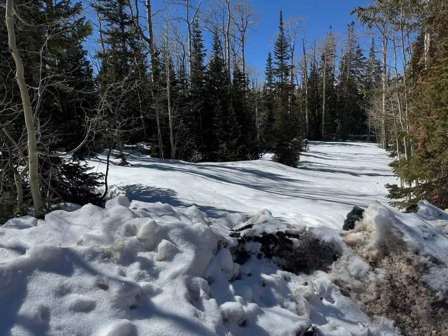 79 N Forest Dr, Brian Head, UT 84719 - #2