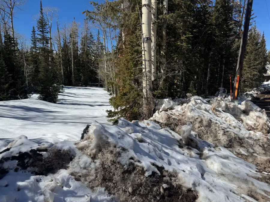 79 N Forest Dr, Brian Head, UT 84719 - #3