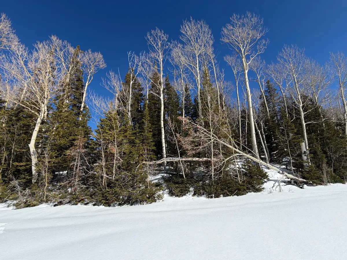 370 N Arrowleaf Dr, Brian Head, UT 84719 - #1