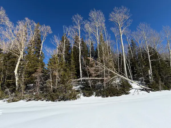 370 N Arrowleaf Dr, Brian Head, UT 84719