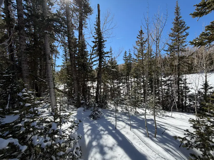 370 N Arrowleaf Dr, Brian Head, UT 84719 - #2