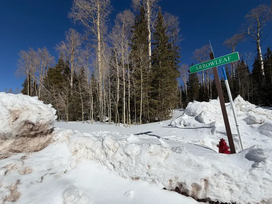 370 N Arrowleaf Dr, Brian Head, UT 84719 - #3