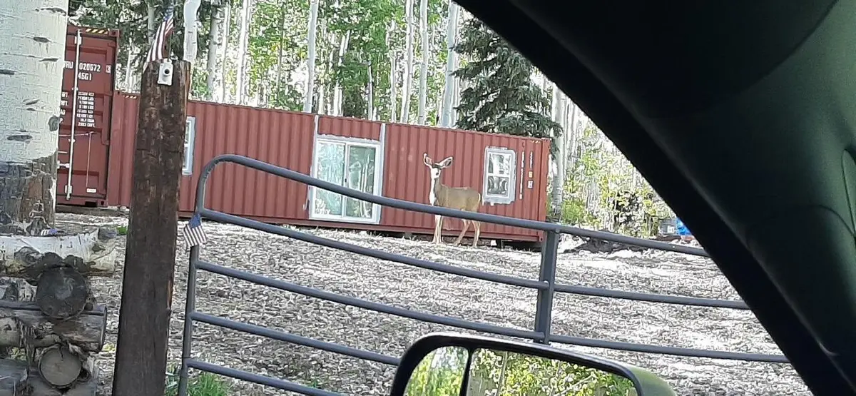 1250 W 525 #GMA unit 1 lots 8 & 9, Brian Head, UT 84719 - #1