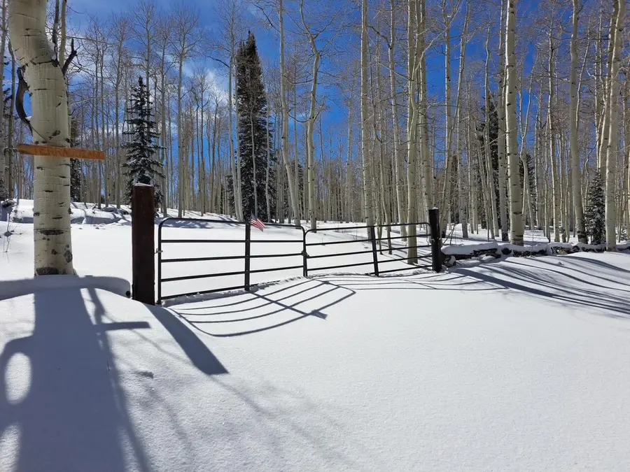 1250 W 525 #GMA unit 1 lots 8 & 9, Brian Head, UT 84719 - #2