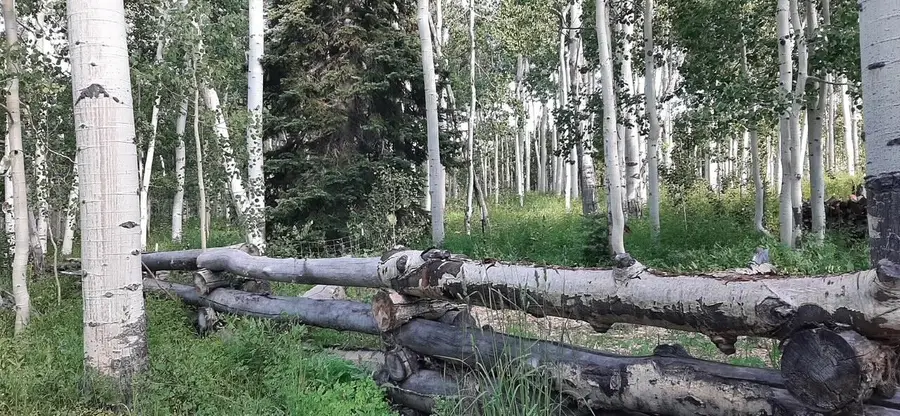 1250 W 525 #GMA unit 1 lots 8 & 9, Brian Head, UT 84719 - #3