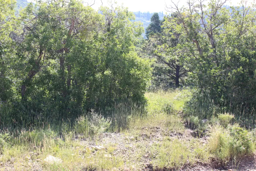 2267 S High Mountain View Dr, Cedar City, UT 84720 - #2