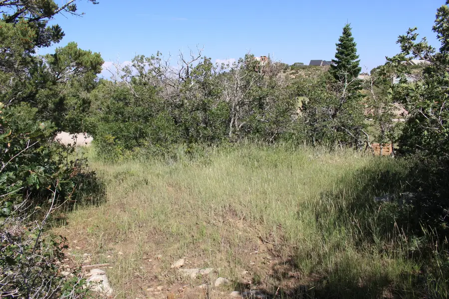 2267 S High Mountain View Dr, Cedar City, UT 84720 - #3